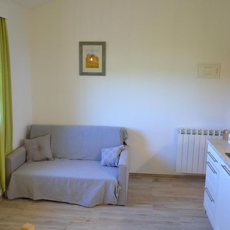 Apartmenthaus Sabine Nova Vas  Room photo