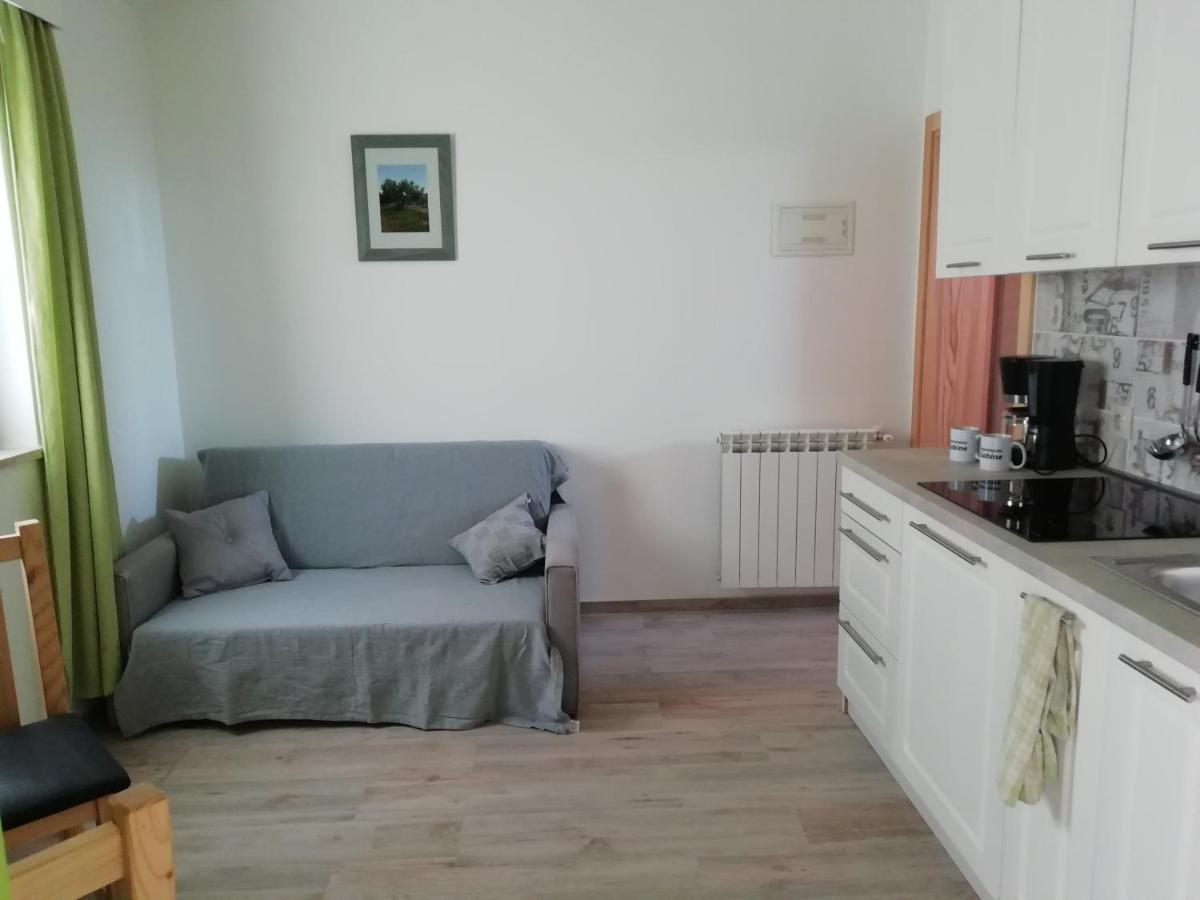 Apartmenthaus Sabine Nova Vas  Exterior photo